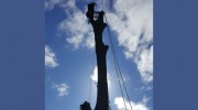 Aerial Arborists