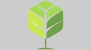 Original Tree Services