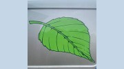 Garden Craft Landscapes