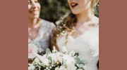 Dutch Nurseries Florist
