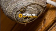 Woolmer Pest Control