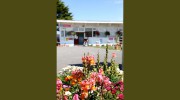 Quarryfield Caravan Park