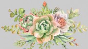 Joannes Florist