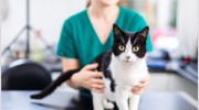 Bryn Veterinary Centre