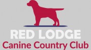 Lucy Pet Carer