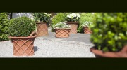 Willow Pottery