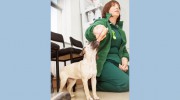 Elm House Veterinary Centre