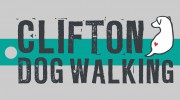 Clifton Dog Walking