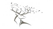 New Forest Funerals
