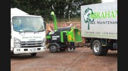 Abraham Tree Maintenance