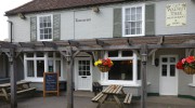 The Walnut Tree