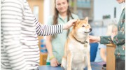 Fenwold Veterinary Practice
