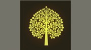 Royal Orchid Thai Massage