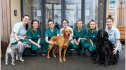 Vale Vets