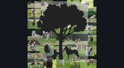 Belham Wood Boarding Kennels