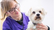 Elm Veterinary Group