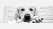 Park Lane Public Relations