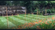 Bath Turf Supplies