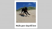 Alpha Pet Care