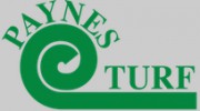 Paynes Turf