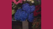 Gainsborough Flowers