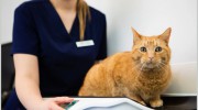 Lime Trees Veterinary Hospital