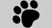 South Notts Dog Grooming