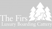 The Firs Cattery