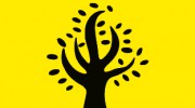 Kevin Patton Tree Surgeon