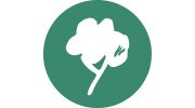 Timberplay