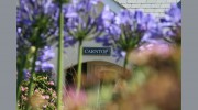 Carntop Guest House
