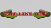 Dale Lawn Turf