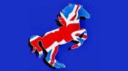 Richmond Equestrian Centre