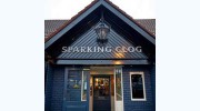 The Sparking Clog