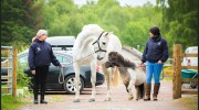 Kessock Equine Vets