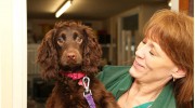 Village Vets & Meadowbank