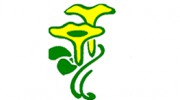 St David's Nursing Home