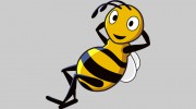 Bee Taxis