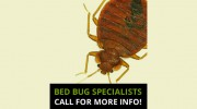 Power Pest Control