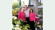 Kimberley's The Florist