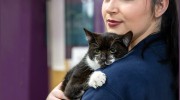 Clent Hills Veterinary Group