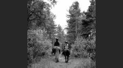 Kinshaldy Riding Stables