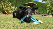 Badgers Oak Veterinary Clinic