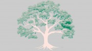 Sevenoaks Tree Care