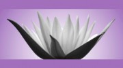 Energy Healing, Reiki, Life Coaching, Indian Head Massage, Massage
