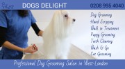 Dogs Delight