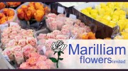Marilliam Flowers