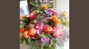 The Wild Flower Shop