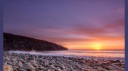 Craster Cottage Inn