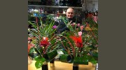 Brambles Florist